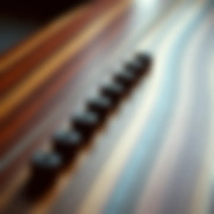 Close-up of a fingerboard with intricate detailing and craftsmanship