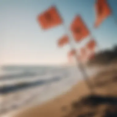 Beach flags symbolizing environmental hazards