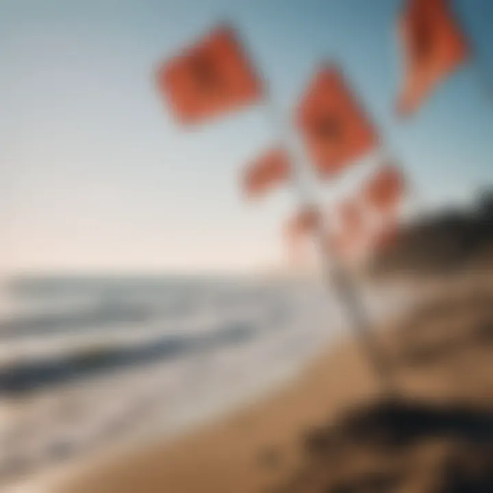 Beach flags symbolizing environmental hazards