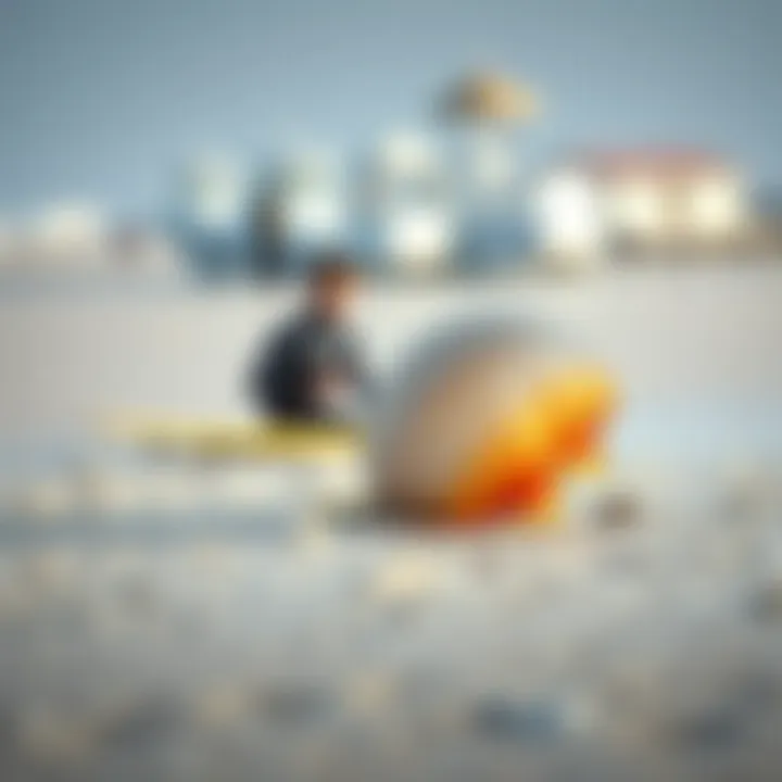 Beach Safety: Preventing Jellyfish Stings A beach scene depicting preventive measures against jellyfish stings