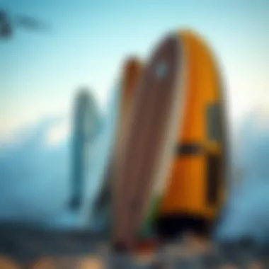 Different types of skimboards