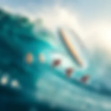 Performance Features of BZ Bodyboards Illustration depicting various performance features of BZ bodyboards for different skill levels