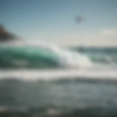 A group of windsurfers enjoying a day out on the California coast