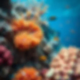 Vibrant coral reef teeming with marine life