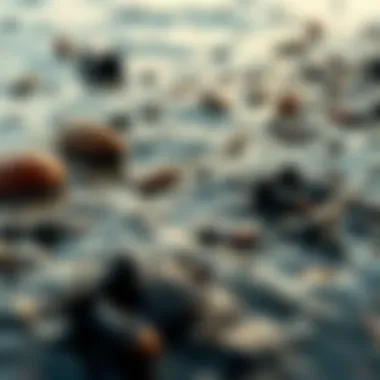 Polluted ocean waters with debris and waste