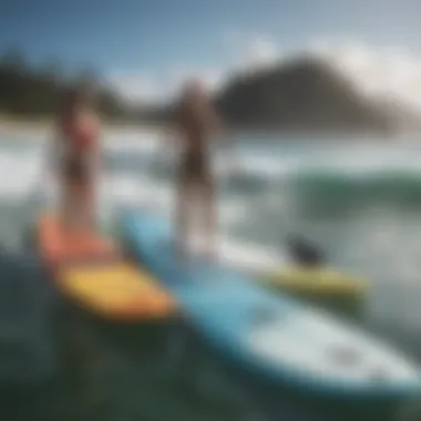 Different types of paddle boards for two