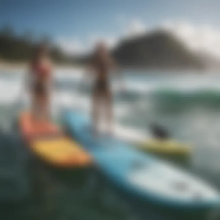 Different types of paddle boards for two