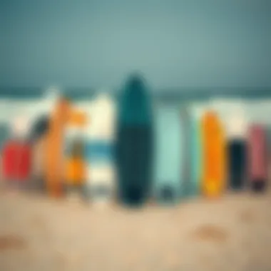 Diverse range of skimboards displayed on a sandy beach