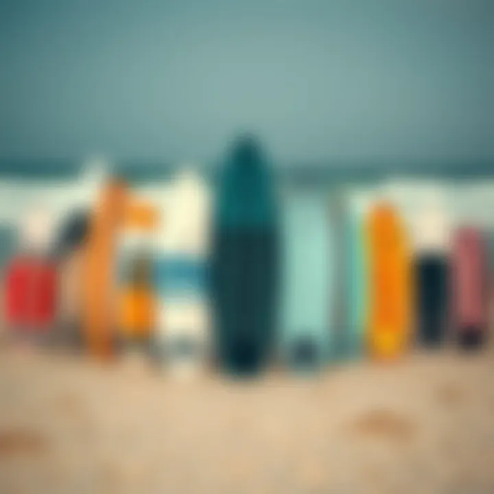 Diverse range of skimboards displayed on a sandy beach
