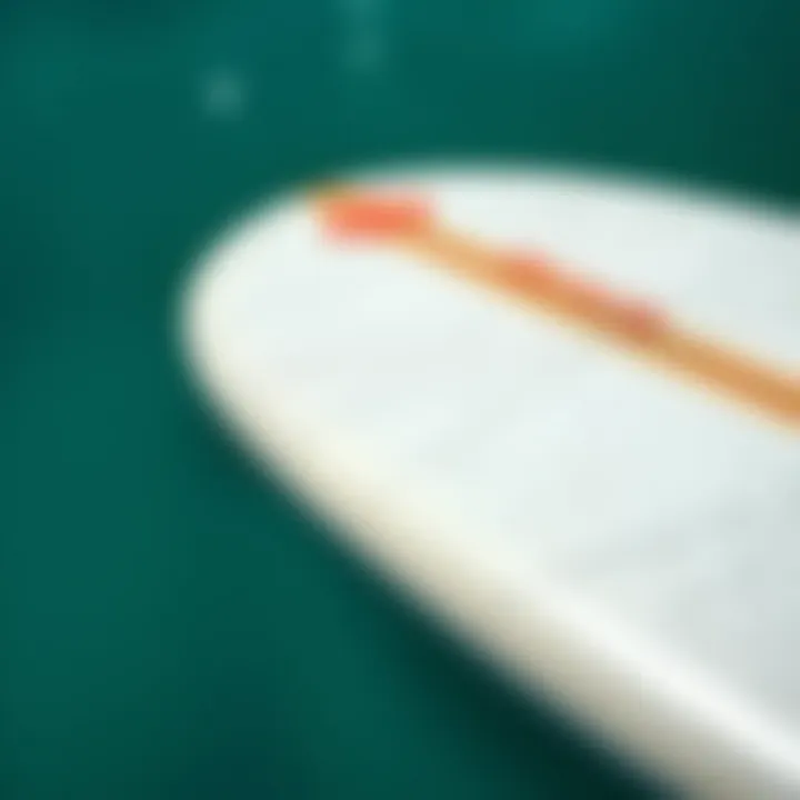 Close-up of skimboard material showcasing texture and durability