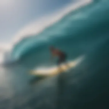 Feedback from Surfers on Ally Floating Swim Fins User review collage highlighting feedback on ally floating swim fins from surfers.