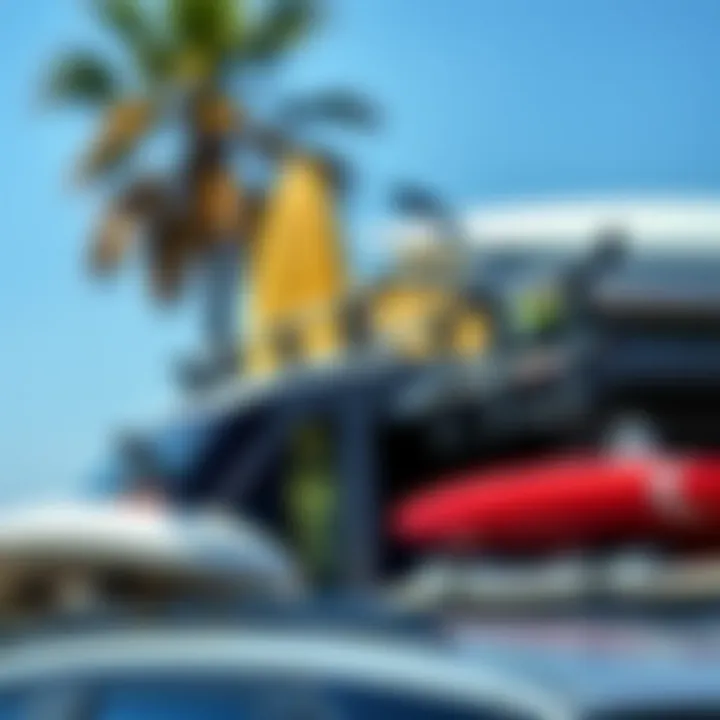 Different types of soft racks displayed together