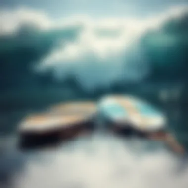 Diverse Types of Wakesurf Boards Variety of wakesurf practice boards showcasing different types