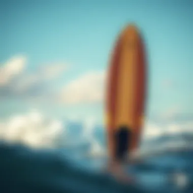 Innovative Wakesurf Board Design Detailed view of a wakesurf practice board design