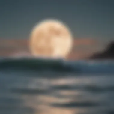 The Tranquil Surf Experience During a Waxing Moon Calm surf under a waxing moon