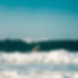 Beginner surfers enjoying gentle waves in Costa Rica