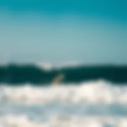 Beginner surfers enjoying gentle waves in Costa Rica