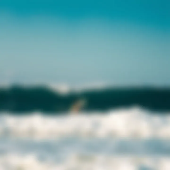 Beginner surfers enjoying gentle waves in Costa Rica