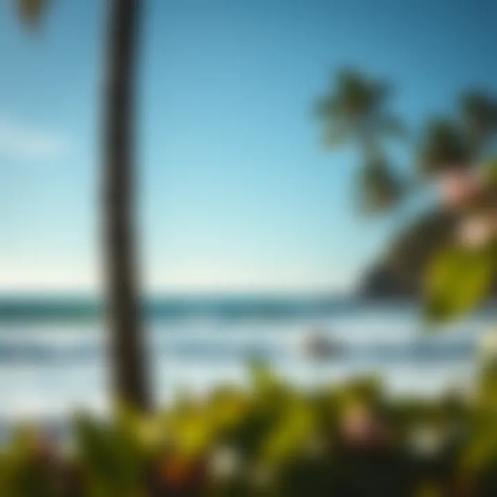 A scenic view of a beginner-friendly surf spot in Costa Rica