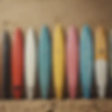 Variety of Surfboard Designs A collection of diverse surfboards lined up on the beach