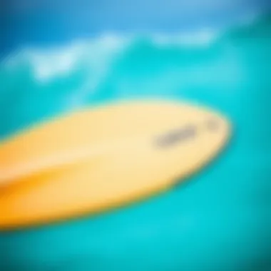 Close-up of different blade shapes on SUP paddles, highlighting their unique designs for diverse paddling styles.