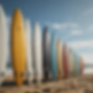 Various surfboard styles comparison