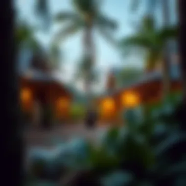 Cozy Accommodations at Dreamsea Cozy accommodation options surrounded by lush greenery at the surf camp