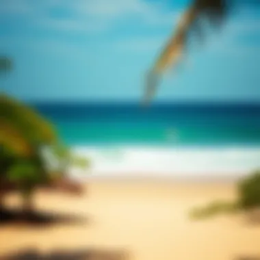 Stunning Beach at Dreamsea Surf Camp A stunning beach view at Dreamsea Surf Camp with golden sands and turquoise waters