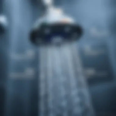 Key Features to Consider in Portable Shower Heads An illustration depicting essential features of a quality portable shower head.