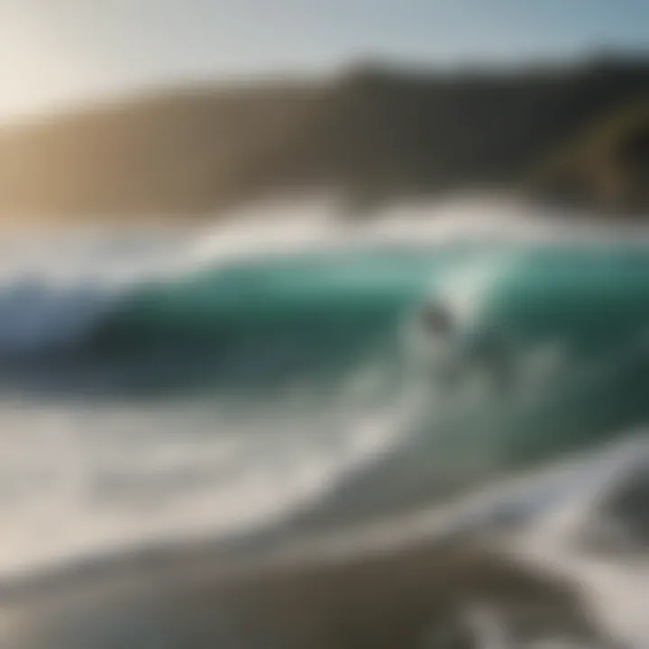 Local surfers enjoying a laid-back session in the ocean