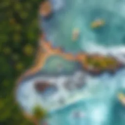 Aerial view of a wave pool surrounded by lush greenery and surfers riding waves