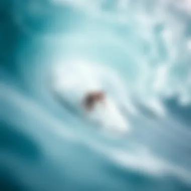 Surfer catching a wave in a state-of-the-art wave pool environment