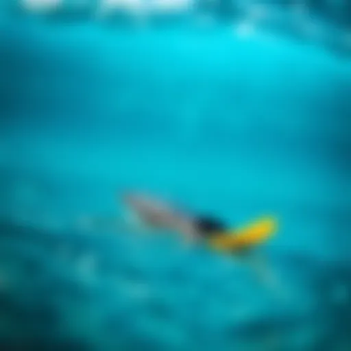 A close-up view of Churchill swim fins showcasing their distinctive design