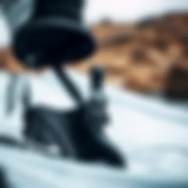 Close-up of the features of a Dakine harness, highlighting its ergonomic design.