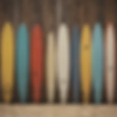 Surfboards lined up at the lodge