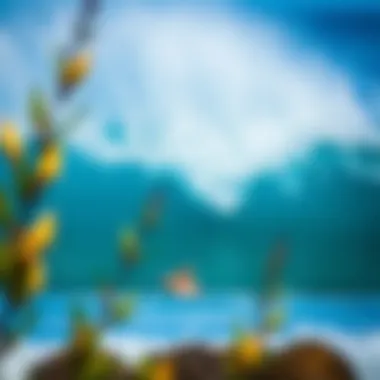 Comfortable Accommodation Options at Dreamsea Surf Camp