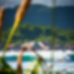 Stunning Surfing Landscape at Dreamsea Surf Camp Bali