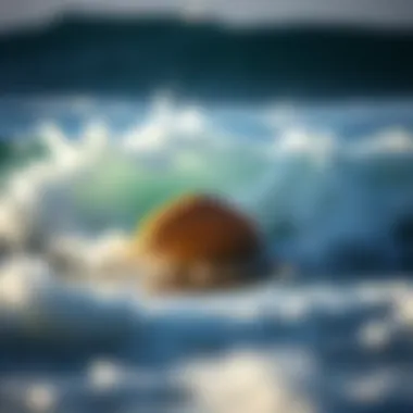 Tips on maintaining and caring for EPS surfboards illustrated