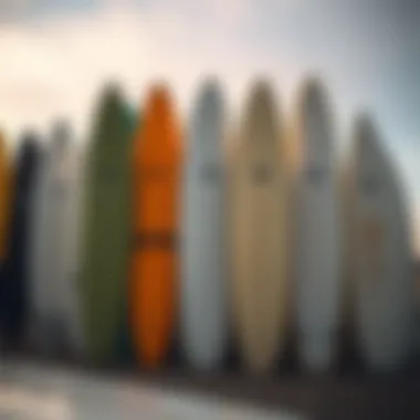 An array of EPS surfboards from various leading brands