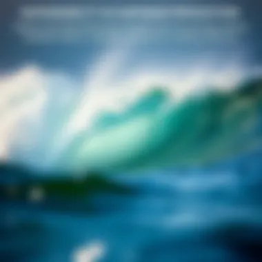 Sustainability in Surfwear Production Infographic on sustainable materials used in surfwear