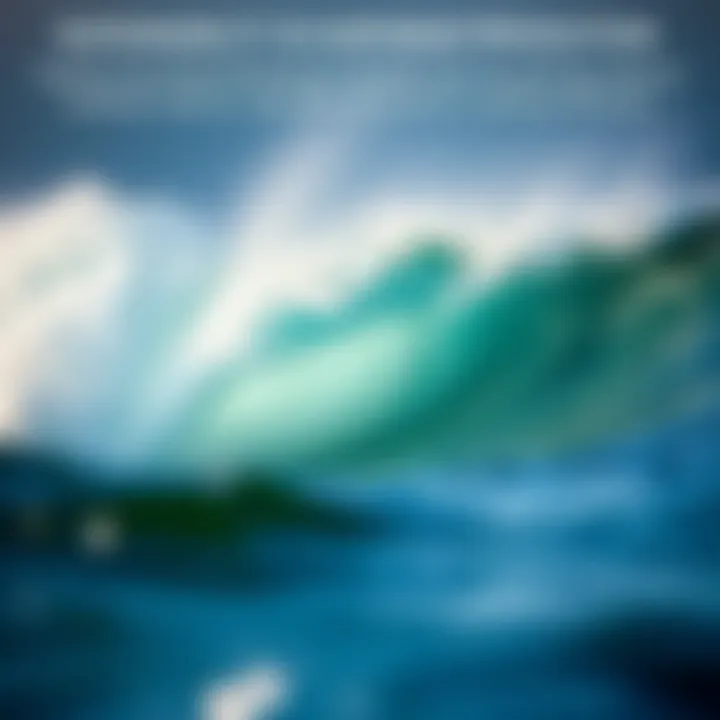 Sustainability in Surfwear Production Infographic on sustainable materials used in surfwear