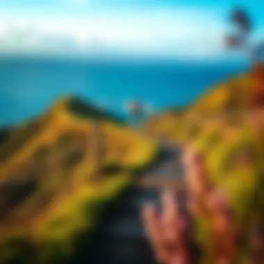 Adventurous Trails of Flores Island Exploratory hiking trail leading to scenic viewpoints on Flores Island