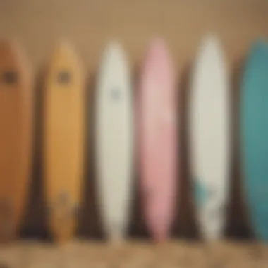 A close-up of surfboards lined up on a beach showcasing diverse styles