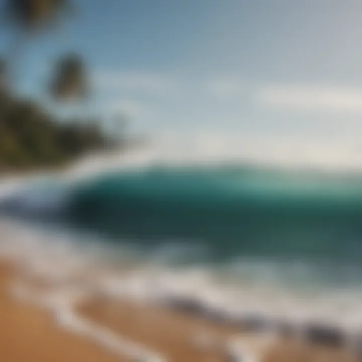 Scenic view of the Sri Lankan coastline