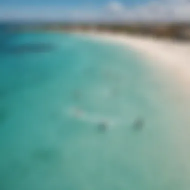 Aerial view of kiteboarders on Aruba's turquoise waters