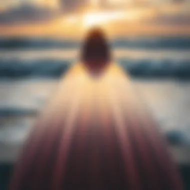 Artistic view of a longboard design highlighting curves and aesthetics