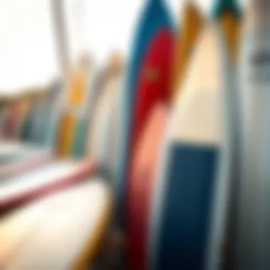 Diverse Surfboard Selection Variety of surfboards available for rental