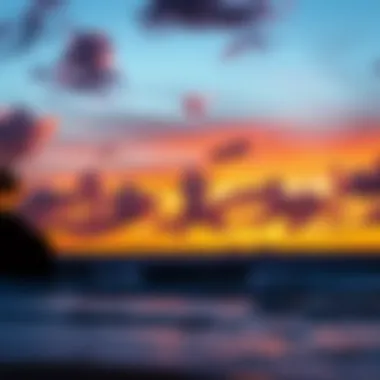 Breathtaking Sunset at Nalu Surf Camp Sunset view from a beach at Nalu Surf Camp