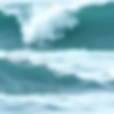 Sustainable materials used in Olaian wetsuits displayed artistically