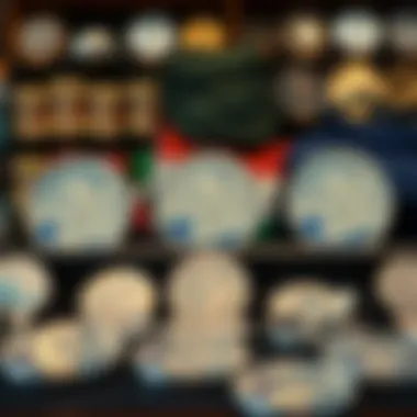 A collector showcasing an array of silver coins with surf themes